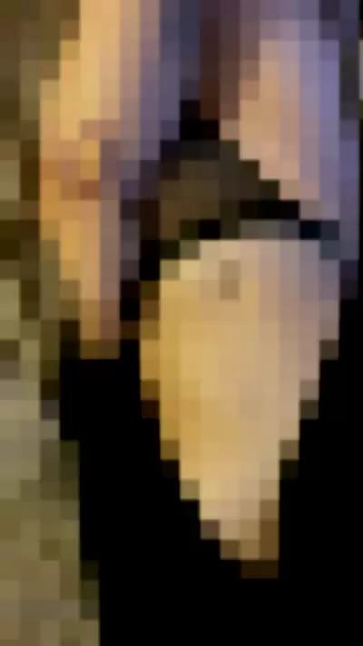 Yourpersonalwaifu Video video thumbnail