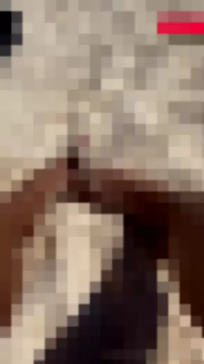 Omgitsbratch / queenbratch - hyrkC1iIZ0
