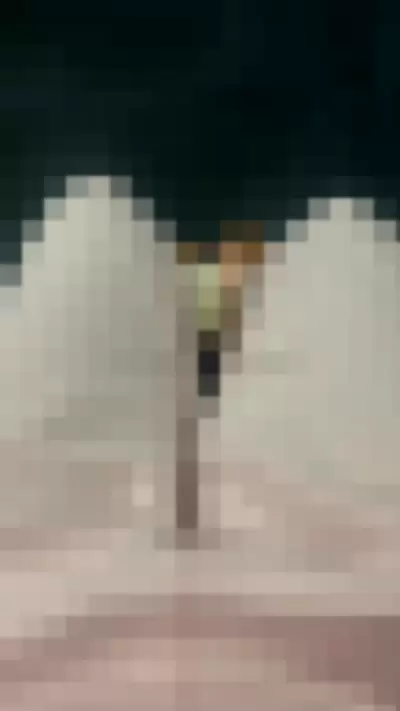 Omgitsbratch / queenbratch - zS28w2lzIB