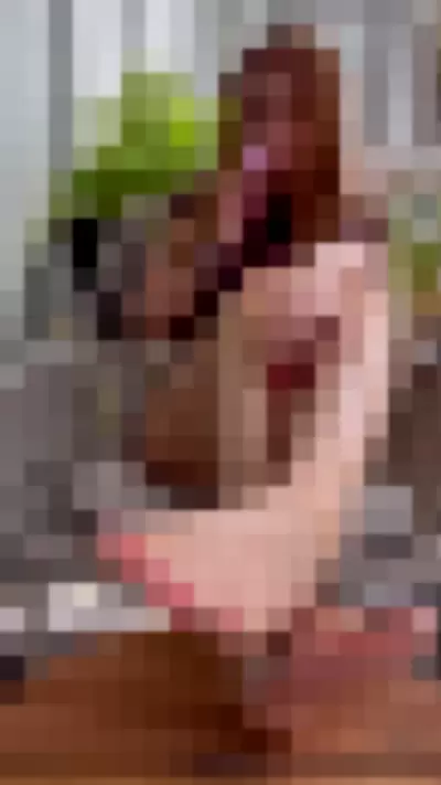 graceful_gracex0.2 / gracefulgracexo / thebeautyinfeet - TGRLoFsAlF video thumbnail