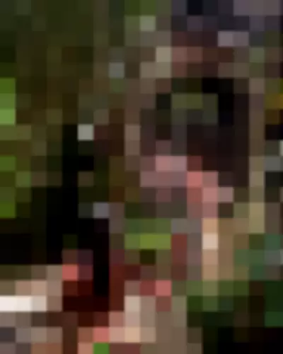 Camila Cabello / Camila_Cabello / iamgabrielaung Video video thumbnail