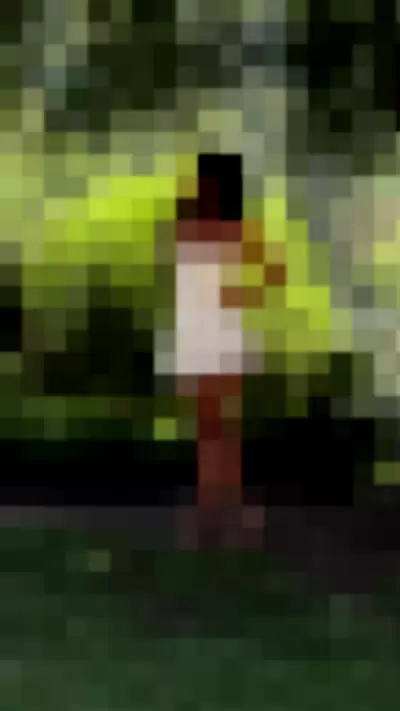 Cindy Kimberly / wolfiecindy - pfUbquzfsR video thumbnail