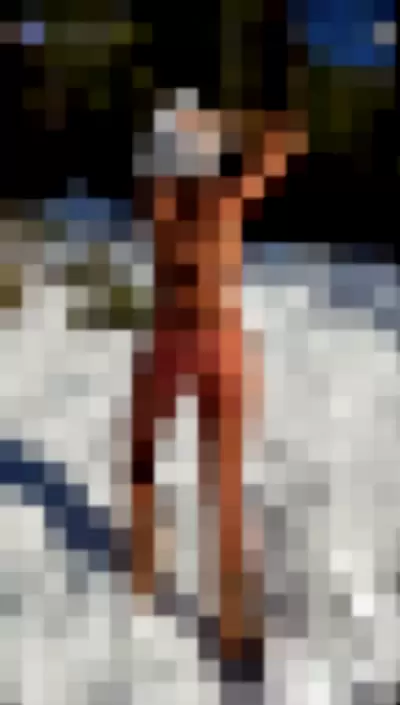 Anna Paul / anna_paull - kiQMKI3rHj video thumbnail