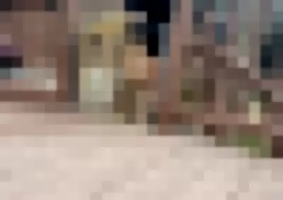 Cinnabrit / cinna / cinnanut Video video thumbnail