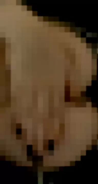 no9mi - D7pVVloSMU