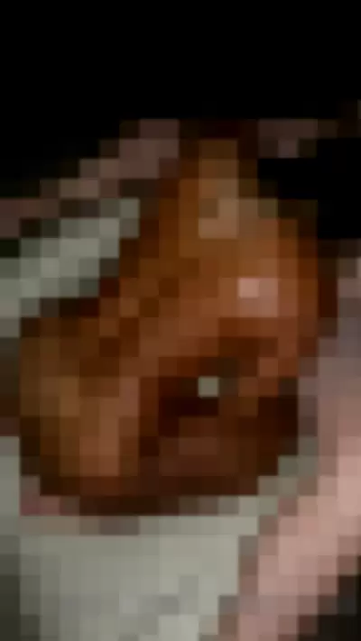 Sukisucchouse - lkxGxBvBvv