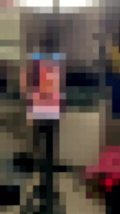 leliloo / lelilou.official - IQCd1yi0Dz