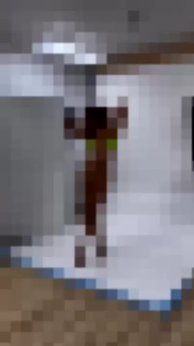 Brookliyn Wren - S4TokqoiQW