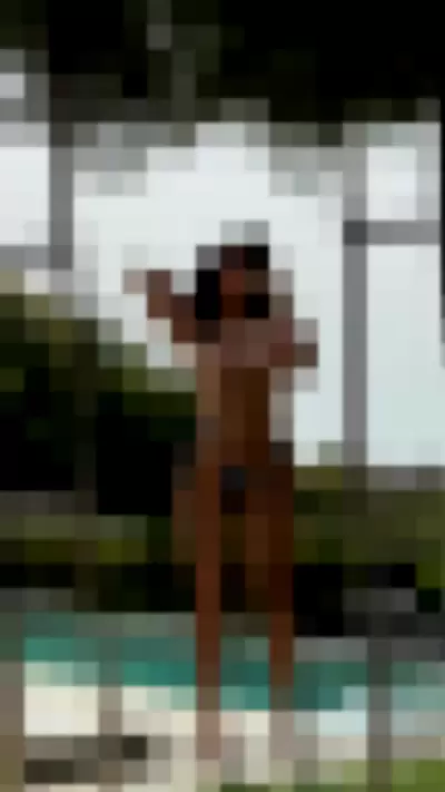 veradijkmansofficial Video video thumbnail