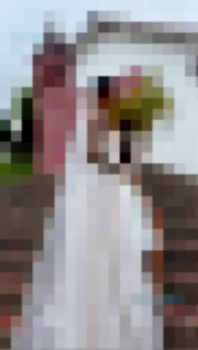 Laura Saenz Video video thumbnail