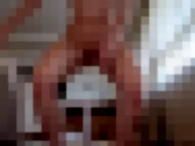 miawaifu Video video thumbnail
