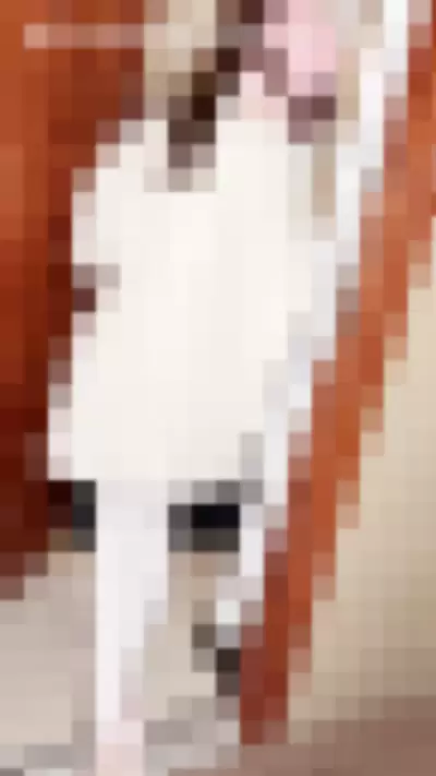 nekokoyoshi - g3OEJVB3lR video thumbnail