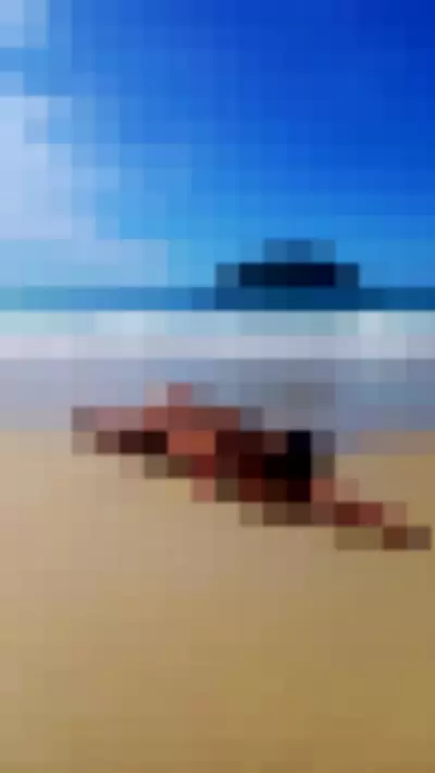 Caiala Tavares Video video thumbnail
