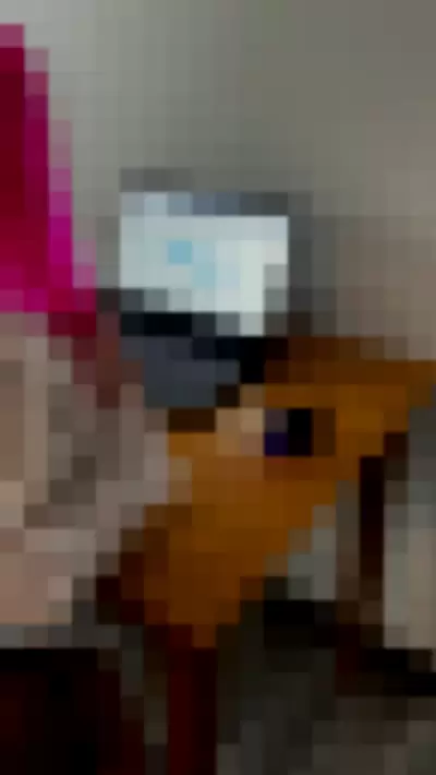 Nikachi Nika Kotova Video