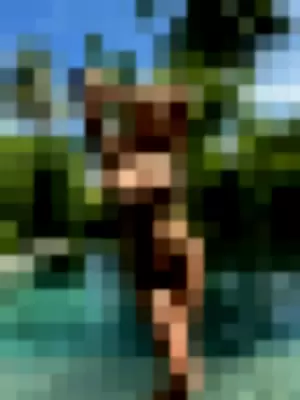 skyebluewantsu profile photo